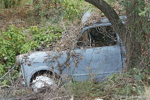 Abandoned car, Poggi