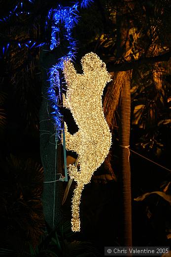 Sanremo Christmas lights