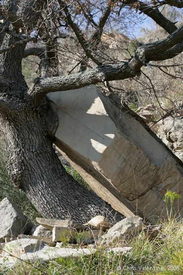 Giant rock resting against an olive tree